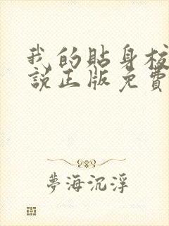 我的贴身校花小说正版免费