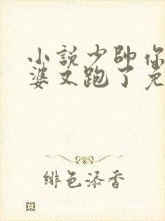 小说少帅你的老婆又跑了免费阅读