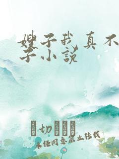 嫂子我真不是傻子小说