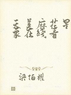 天美麻花星空大象在线看