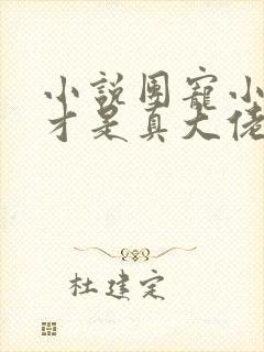 小说团宠小师妹才是真大佬免费阅读