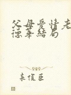 父母爱情老丁和德华结局