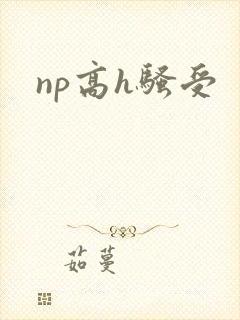 np高h骚受