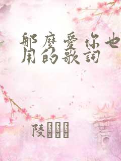 那么爱你也没有用的歌词