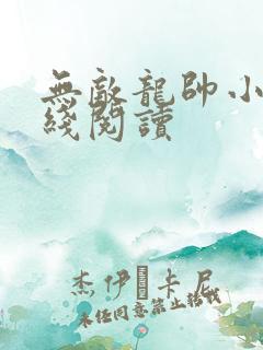 无敌龙帅小说在线阅读