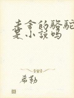 老舍的骆驼祥子是小说吗