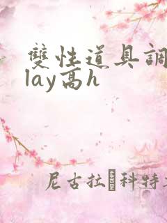 双性道具调教play高h