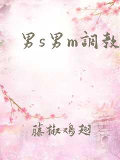 男s男m调教文