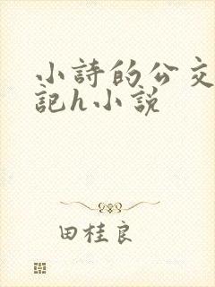 小诗的公交车日记h小说