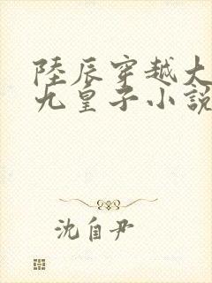 陆辰穿越大夏国九皇子小说