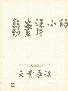 熊出没小的时候动画片