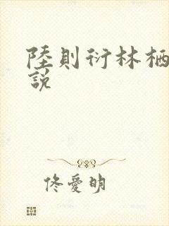 陆则衍林栖的小说