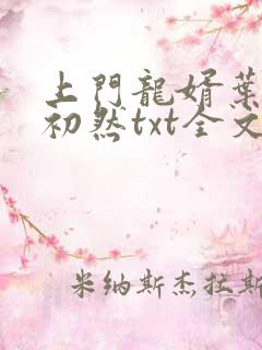上门龙婿叶辰萧初然txt全文免费下载