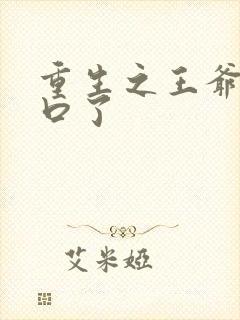 重生之王爷太重口了