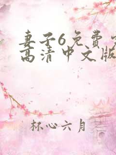 妻子6免费完整高清中文版电视剧