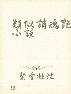 类似销魂艳婢的小说