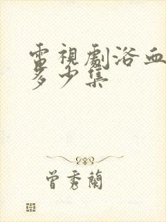 电视剧浴血红颜多少集