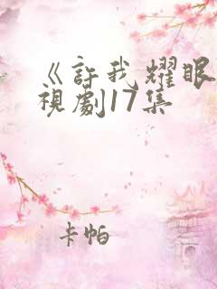 《许我耀眼》电视剧17集