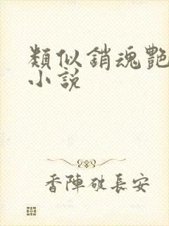 类似销魂艳婢的小说