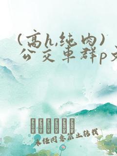 (高h,纯肉)公交车群p文小说