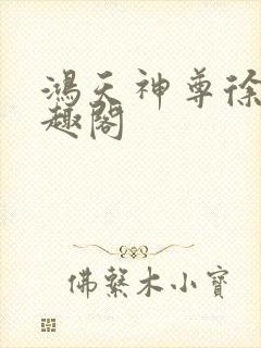 鸿天神尊徐年笔趣阁