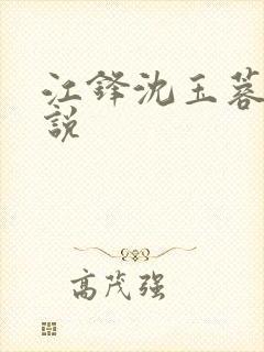 江锋沈玉蓉的小说