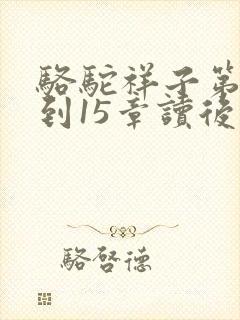 骆驼祥子第13到15章读后感