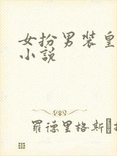 女扮男装皇子的小说