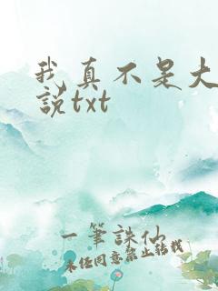 我真不是大佬小说txt