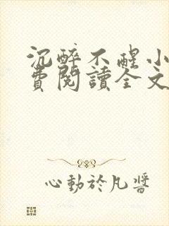 沉醉不醒小说免费阅读全文无弹窗