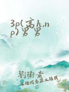 3p(高h,np)男男