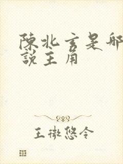 陈北玄是哪部小说主角