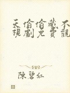 天偷偷藏不住电视剧免费观看