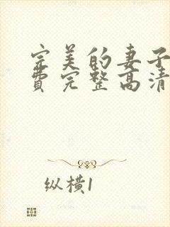 完美的妻子4免费完整高清电视剧在线看