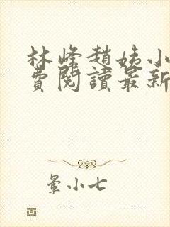 林峰赵姨小说免费阅读最新章节