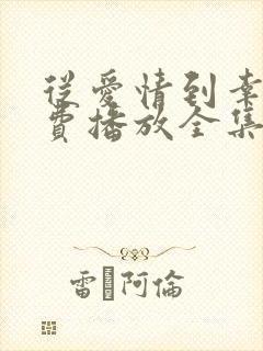从爱情到幸福免费播放全集高清版电视剧
