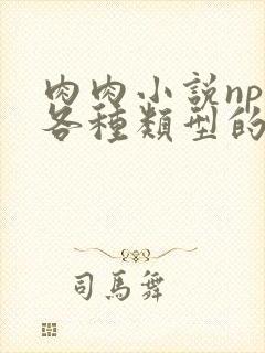 肉肉小说np,各种类型的