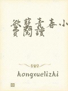 欲孽青春小说免费阅读