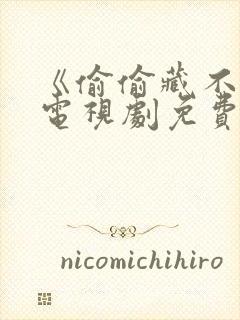 《偷偷藏不住》电视剧免费看