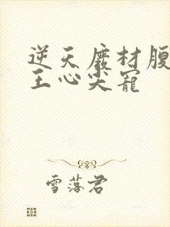 逆天废材腹黑邪王心尖宠