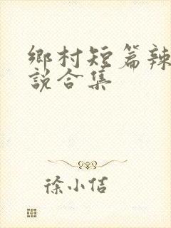 乡村短篇辣文小说合集