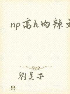np高h肉辣文