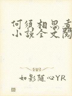 何须相思煮余年小说全文阅读免费