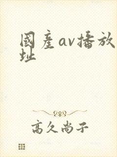 国产av播放网址