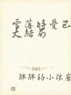 雪落时爱已落幕大结局