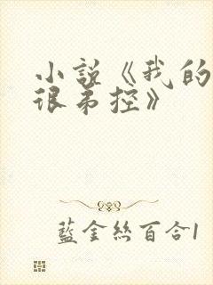 小说《我的姐姐很弟控》