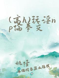 (高h)玩淫np伦拳交