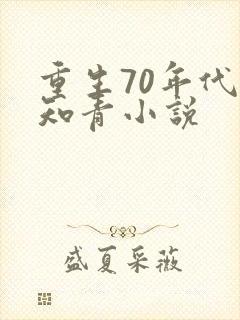 重生70年代当知青小说