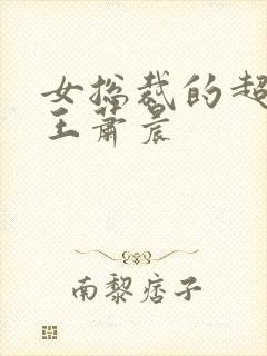 女总裁的超级兵王萧晨