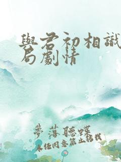 与君初相识大结局剧情
